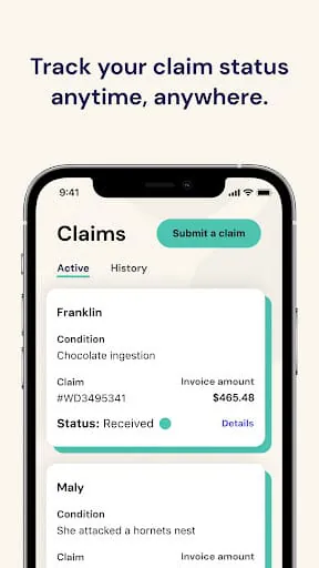 Fetch Pet Insurance