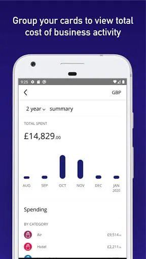 Visa Commercial Pay