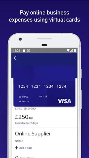 Visa Commercial Pay