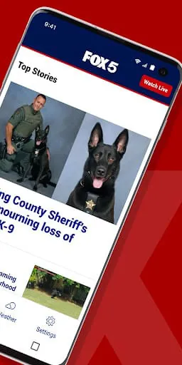FOX 5 Atlanta: News