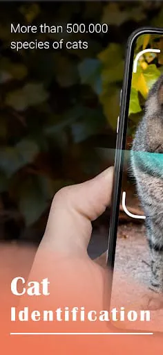 Cat Identifier - Cat Scanner