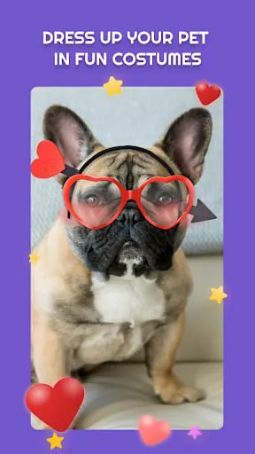 PetStar