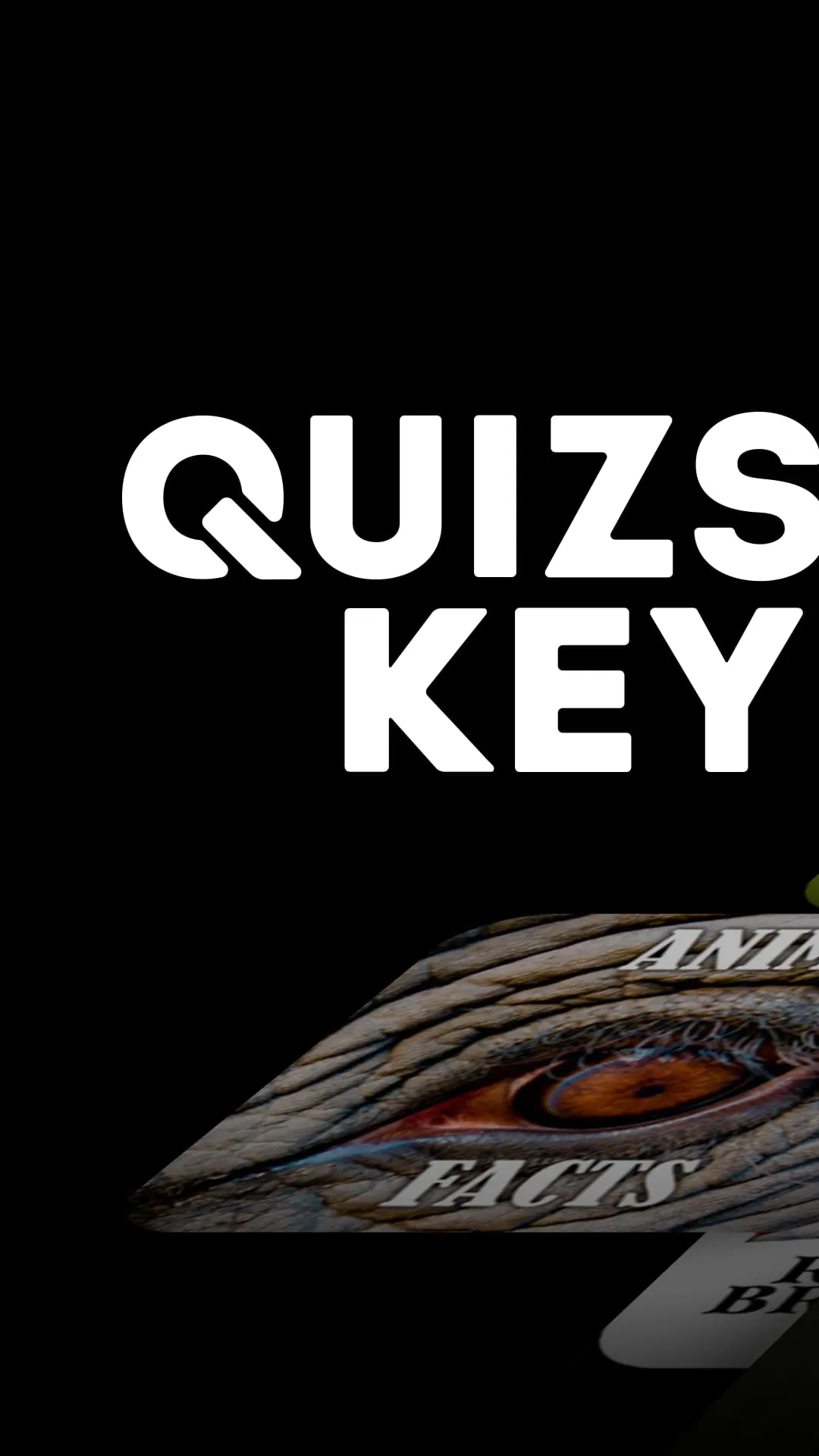 Quizstorm® Keypad