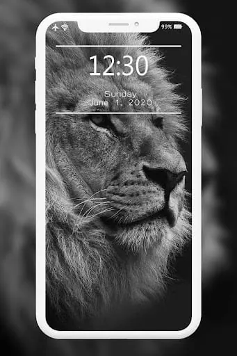 Offline Wallpapers