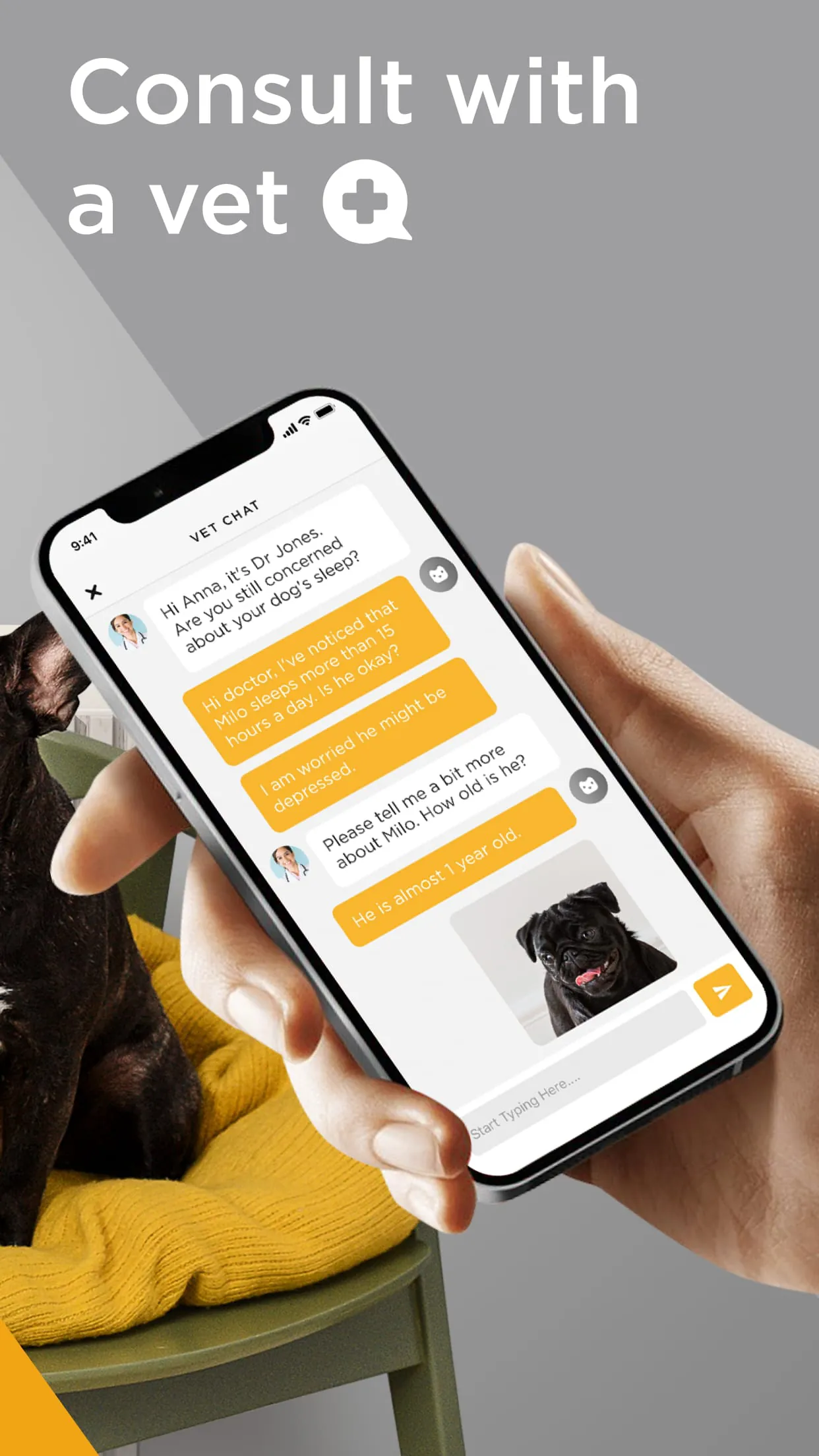 Petcube