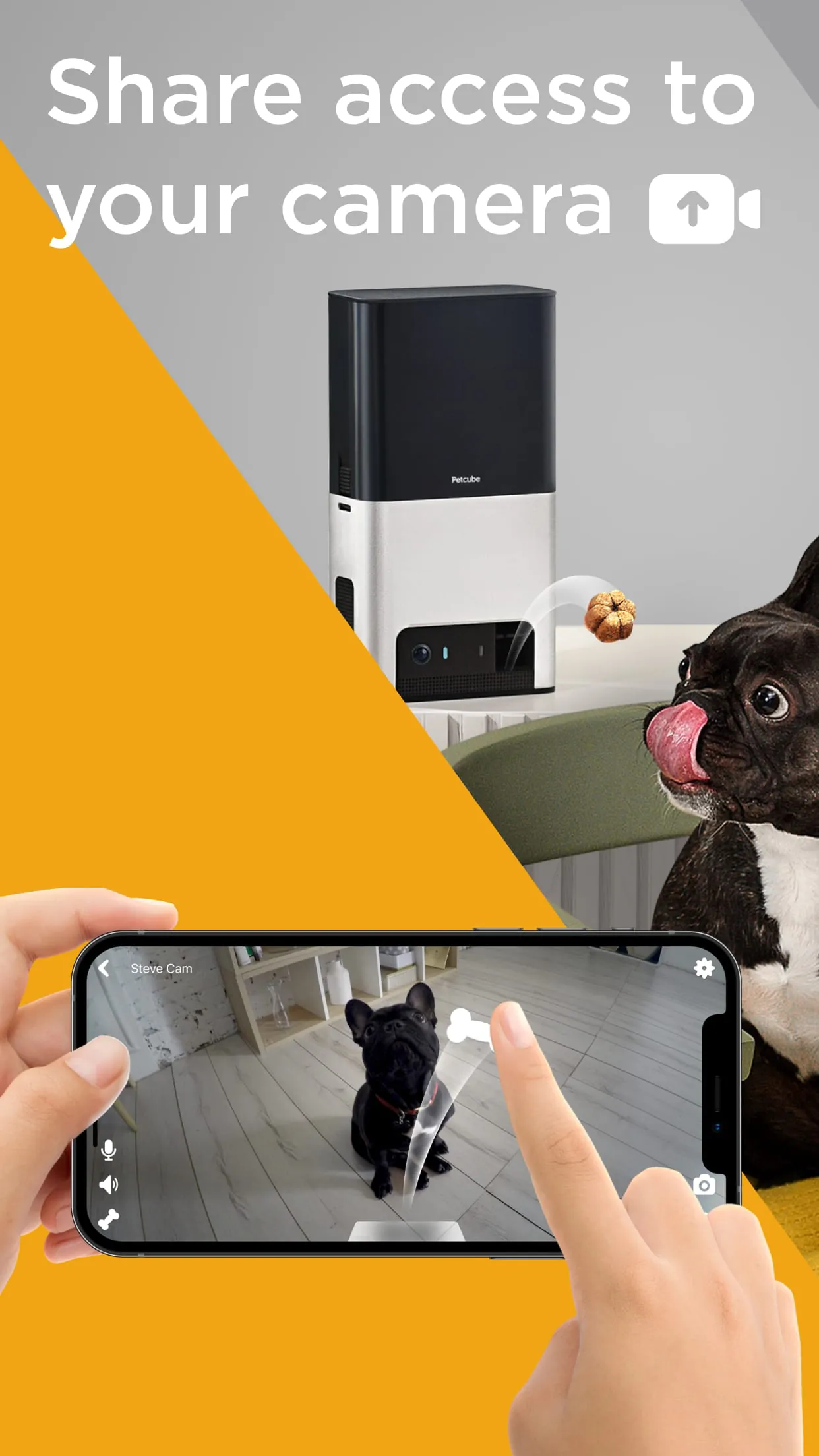 Petcube