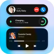 Dynamic View AZ