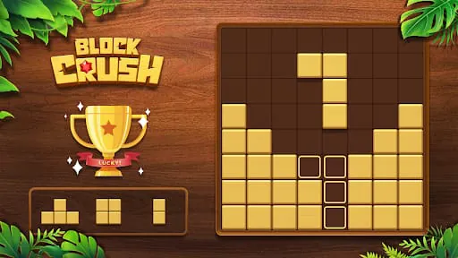 Block Crush!