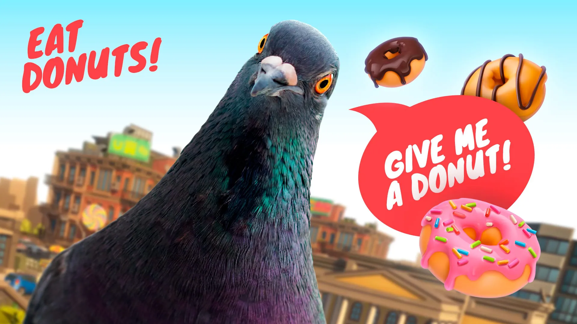 Pigeon