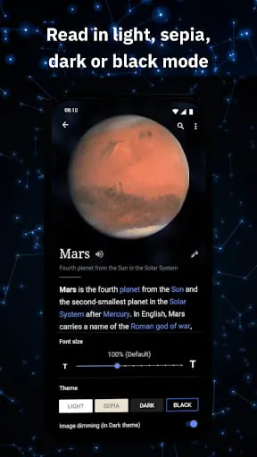 Wikipedia