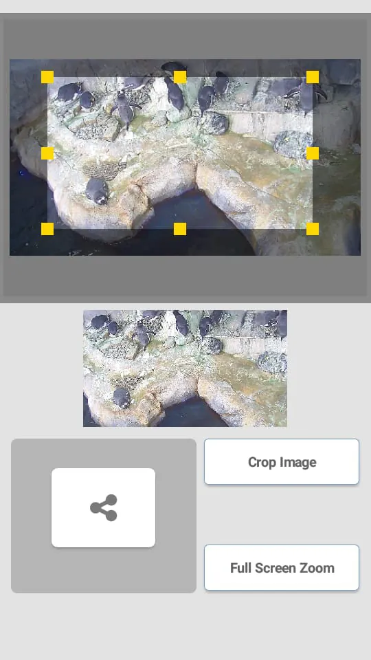 Animal Live Cams