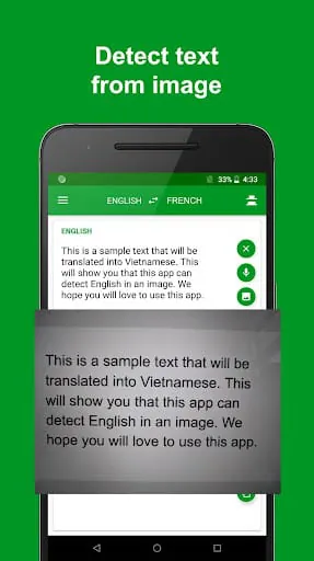 French - English Translator