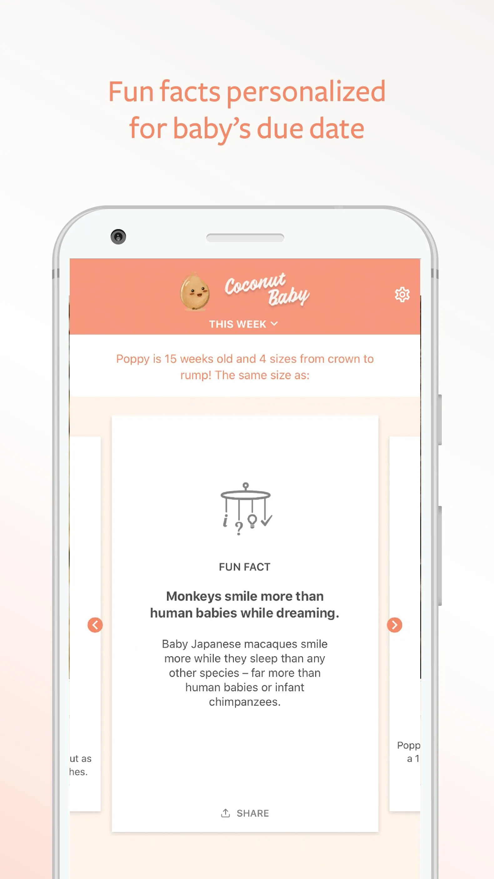 Coconut Baby: Pregnancy App