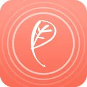 Beauty Meditation