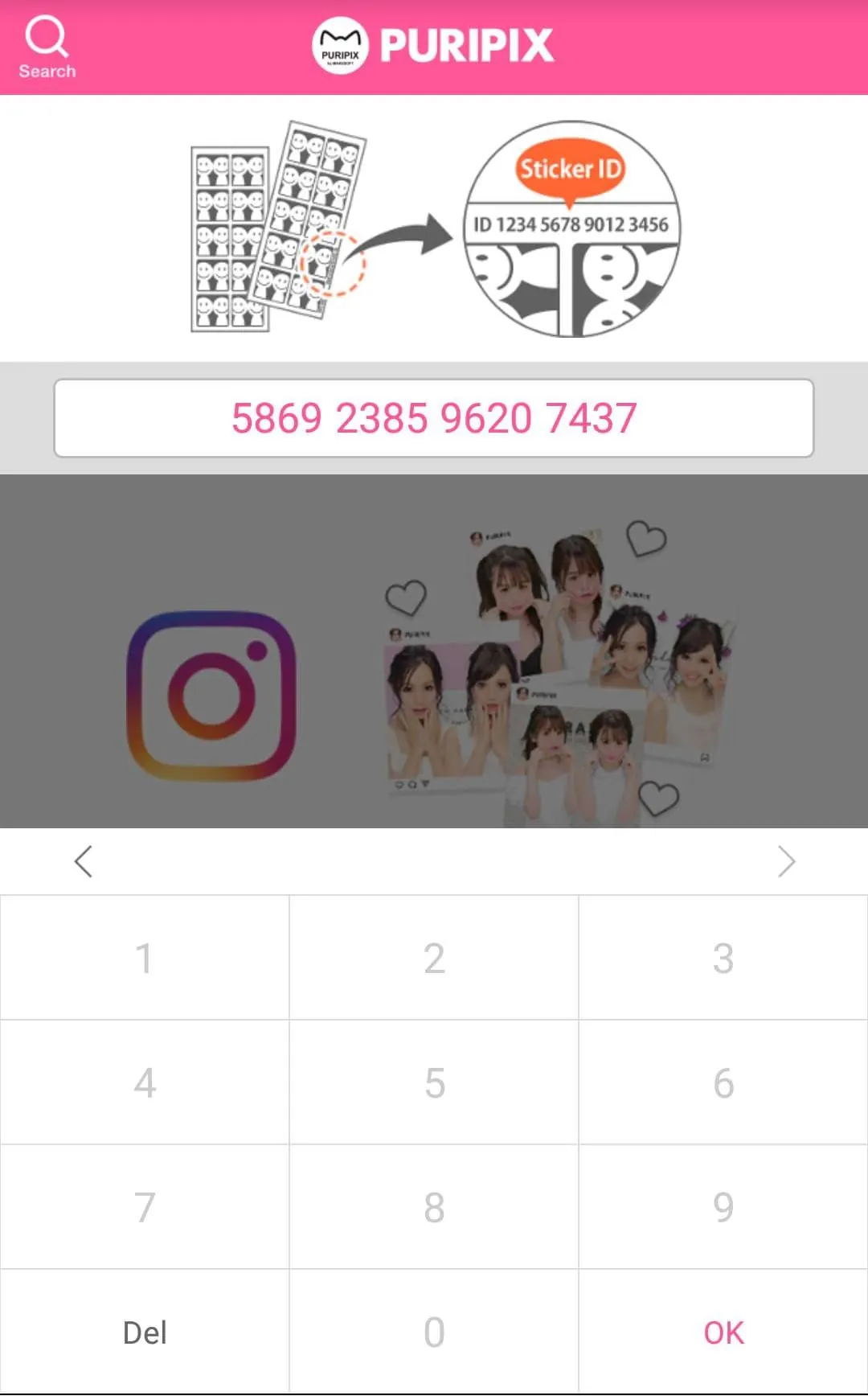PURIPIX