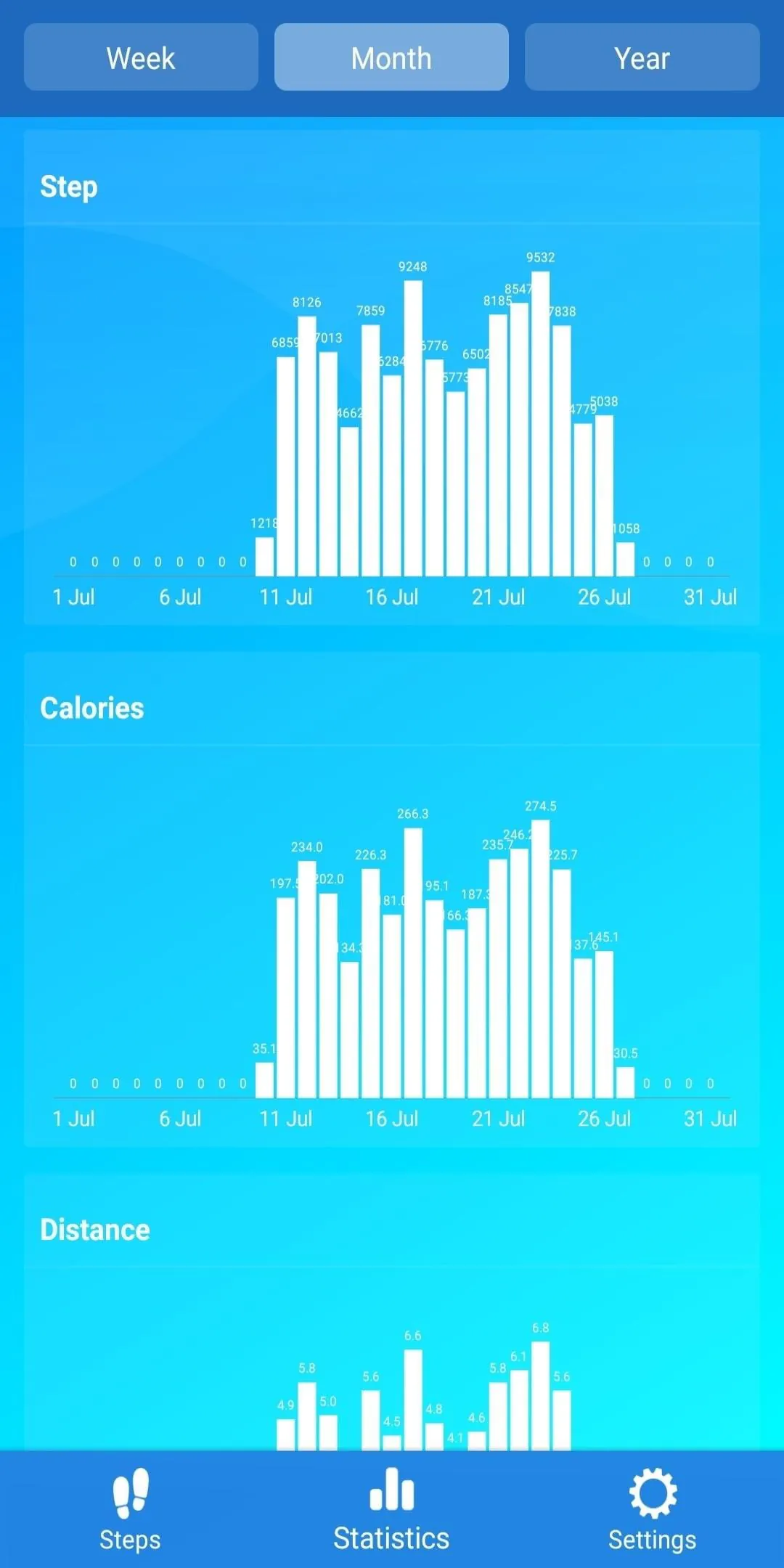 Pedometer - steps counter