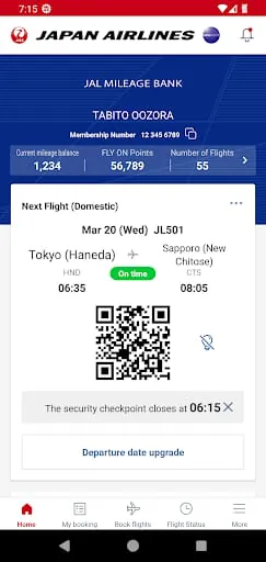 Japan Airlines