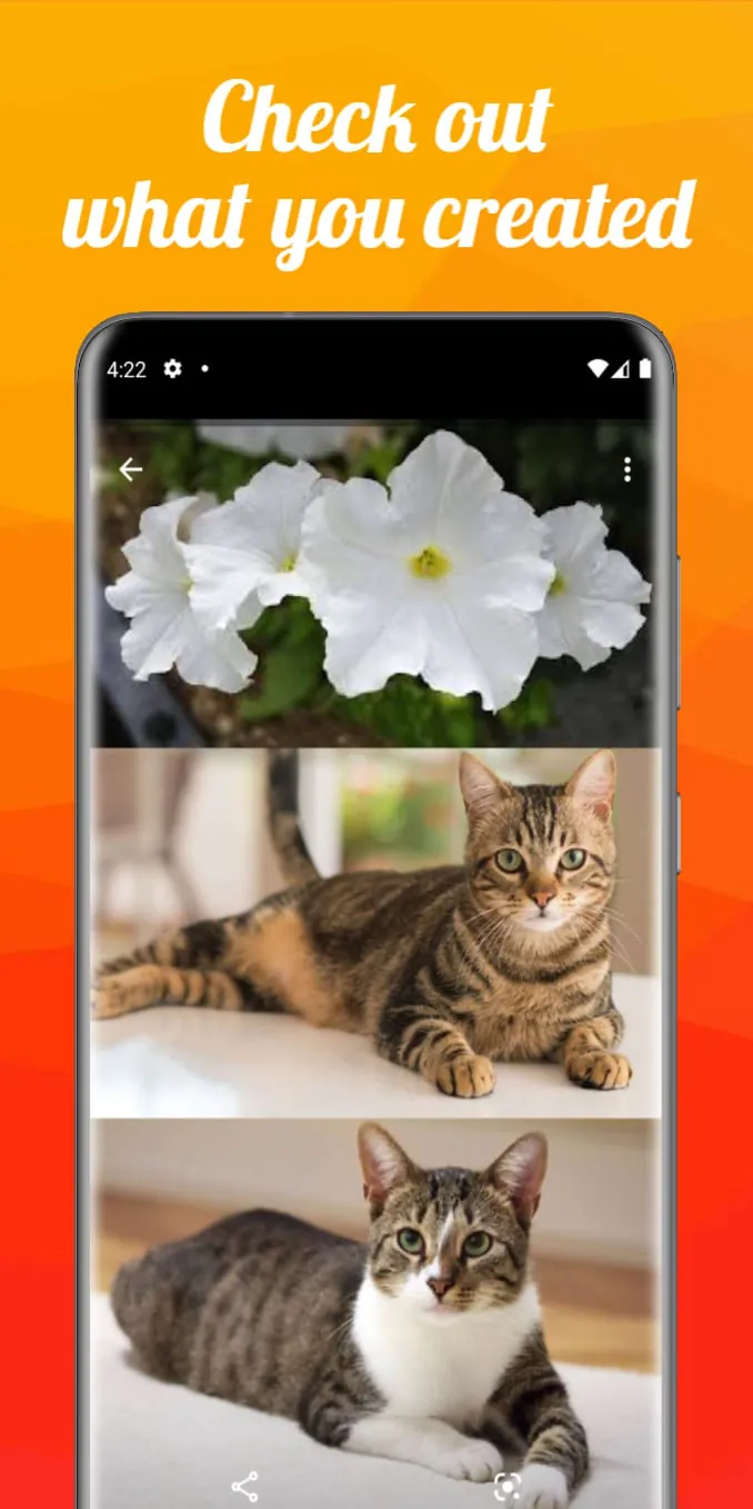Image Merge
