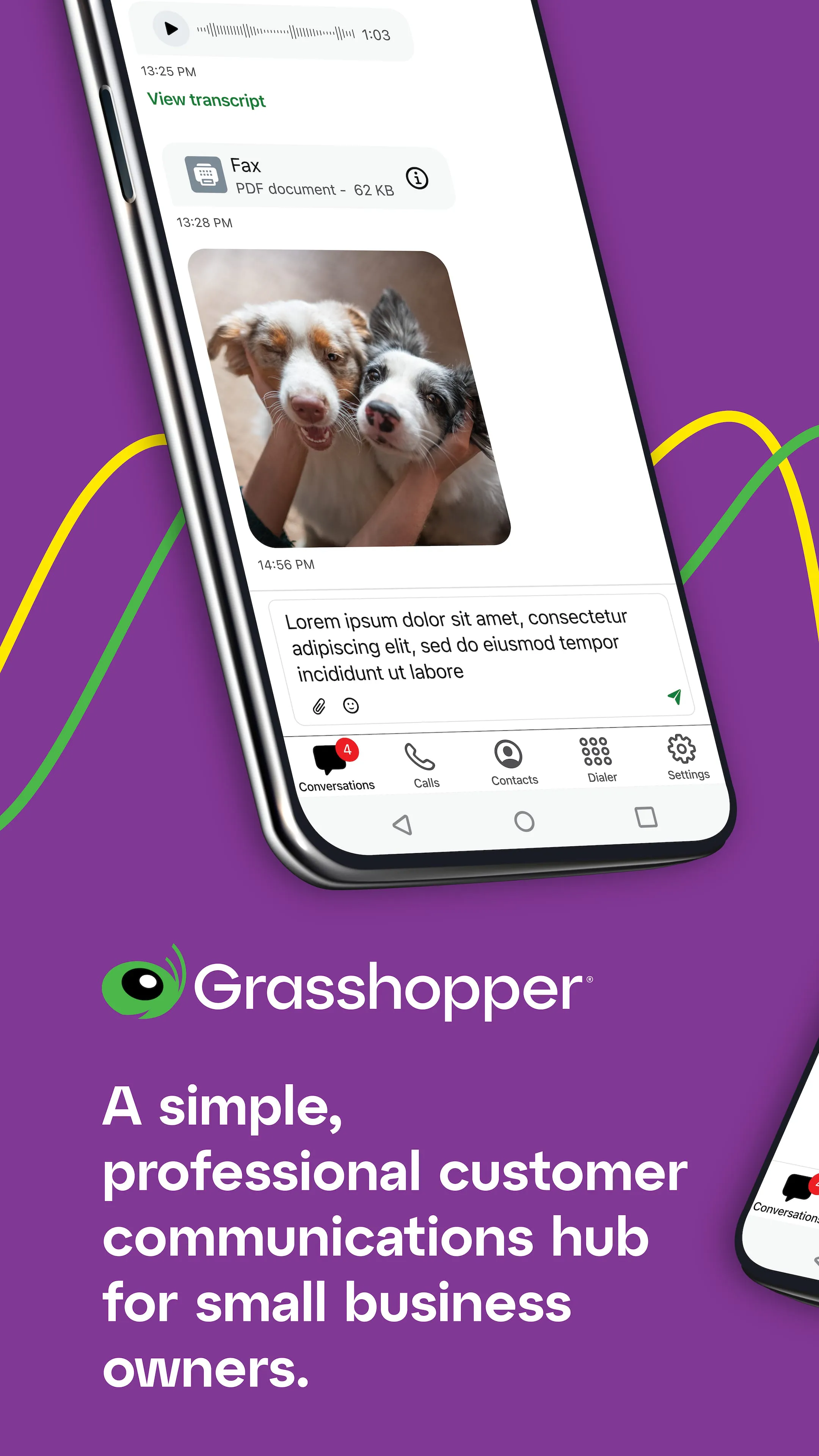 Grasshopper