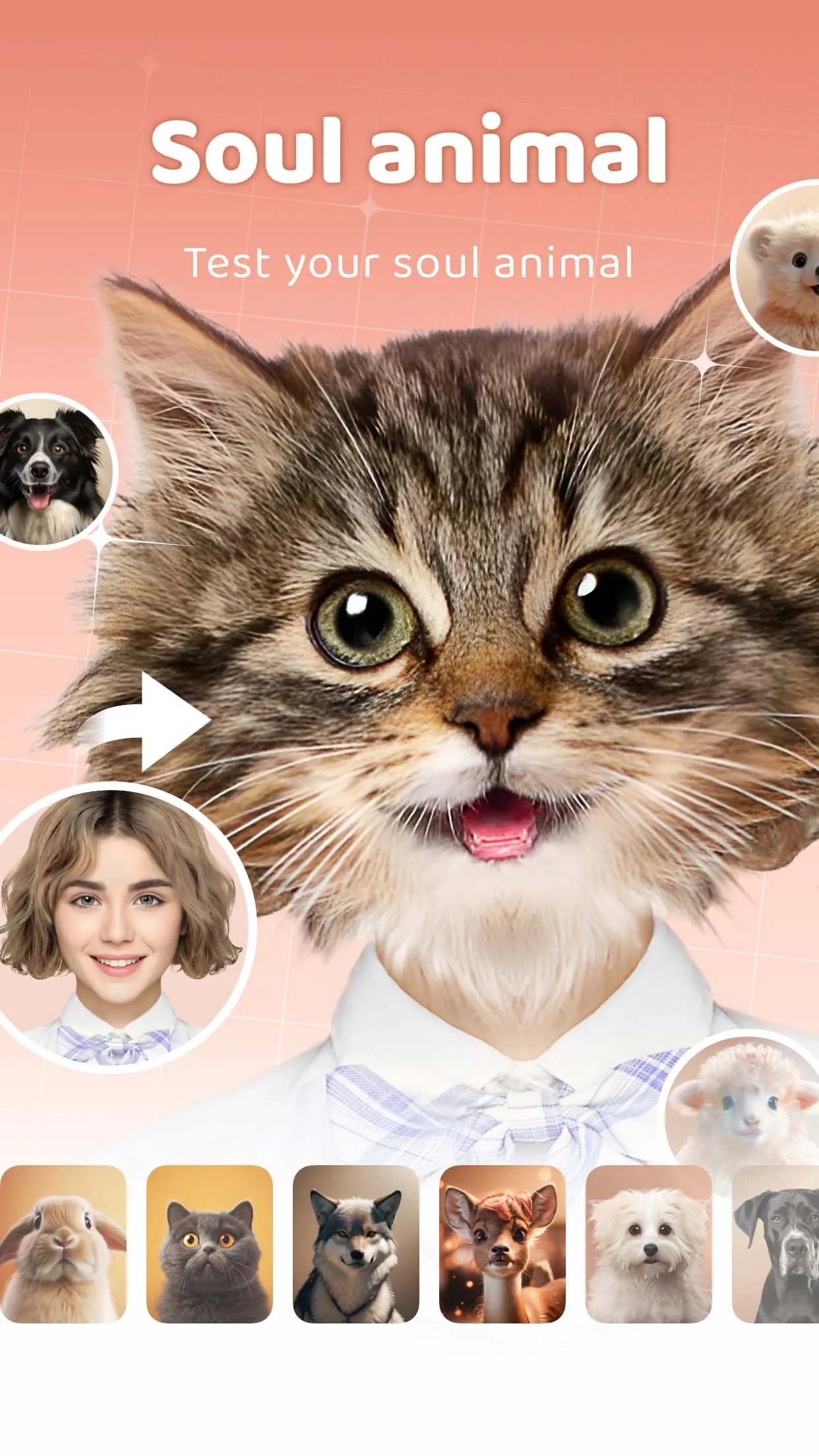 AnimalFace - face types test