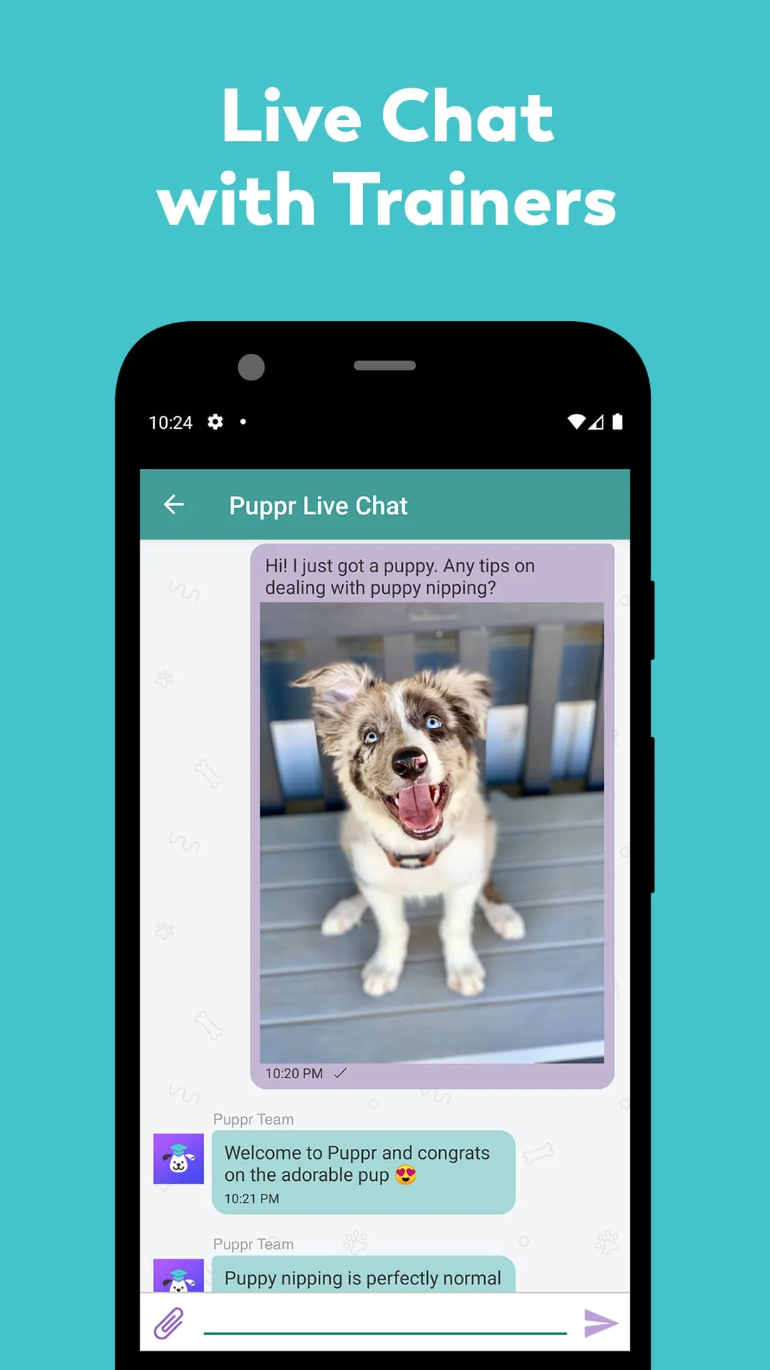 Puppr - Dog Training & Tricks