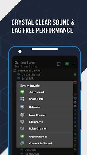 TeamSpeak 3 - Voice Chat