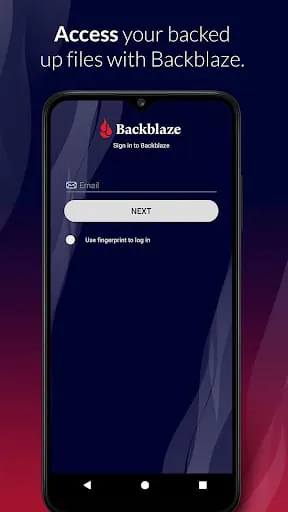 Backblaze