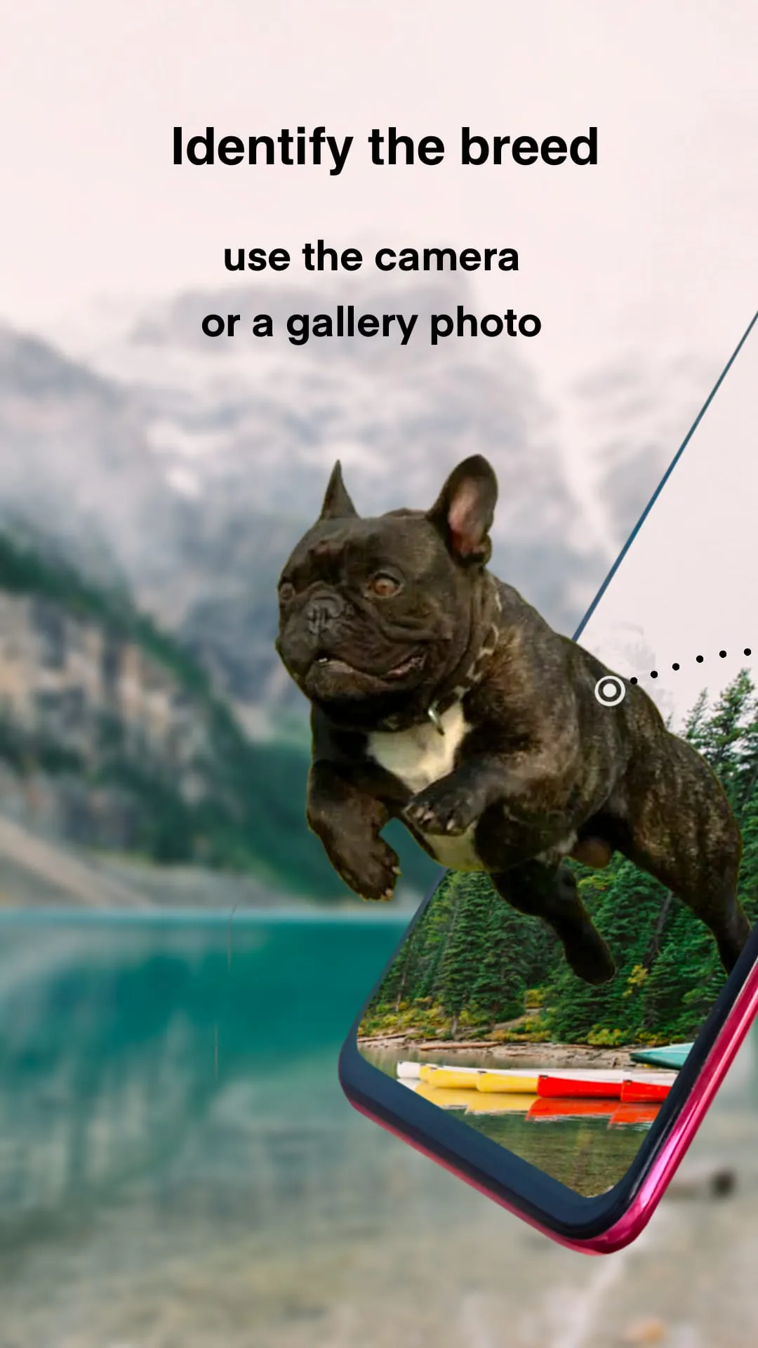 Dog breeds - Smart Identifier