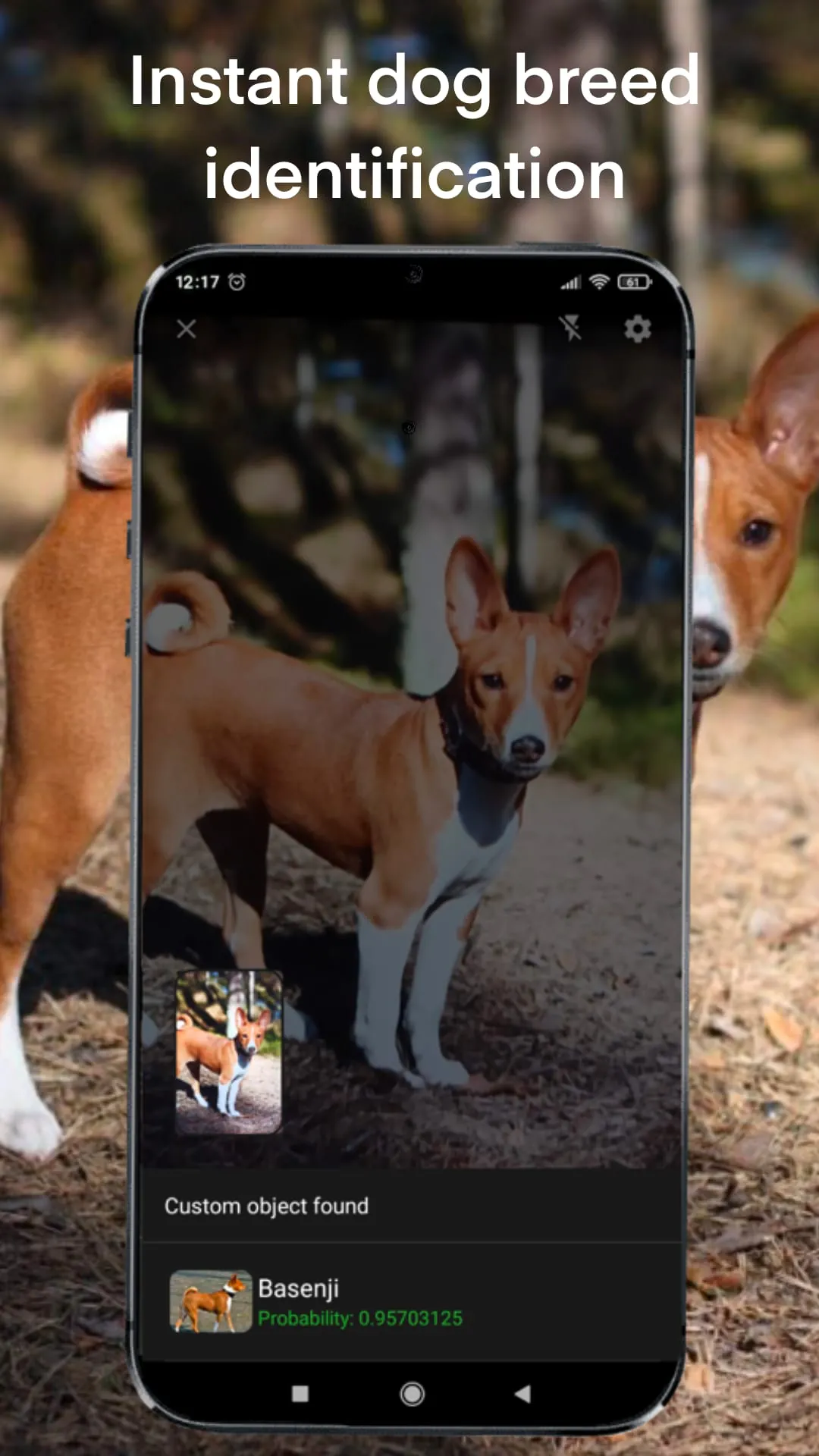 Dog breeds - Smart Identifier