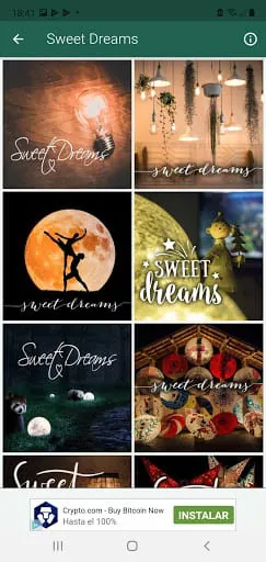 Sweet Dreams