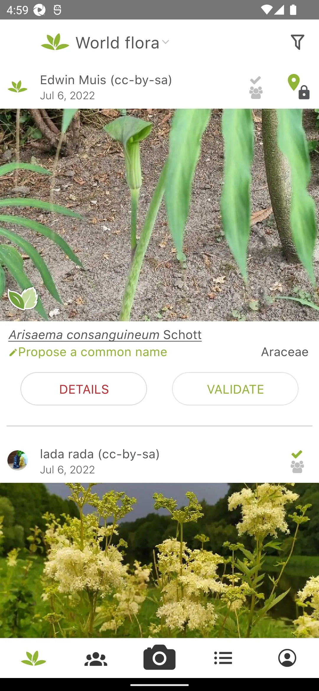PlantNet Plant Identification