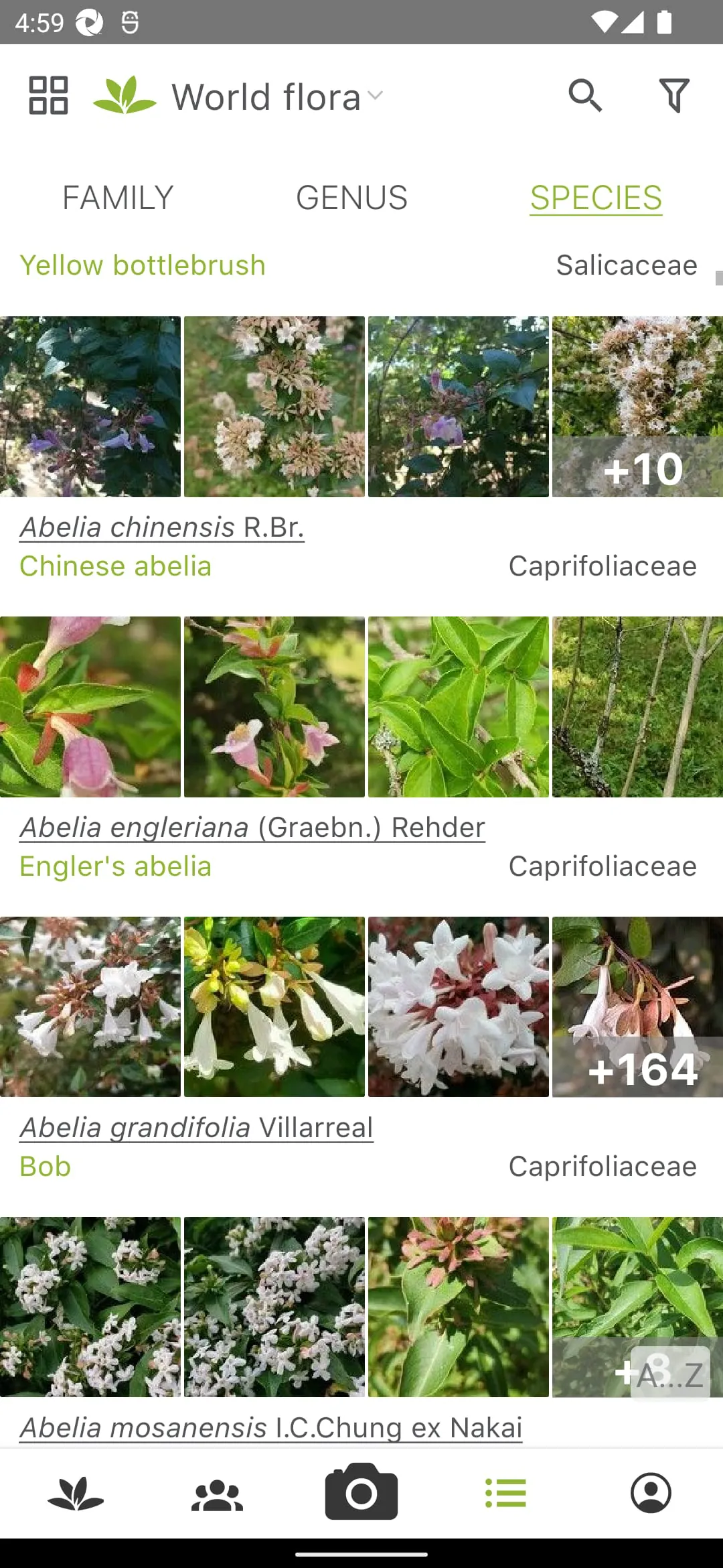 PlantNet Plant Identification
