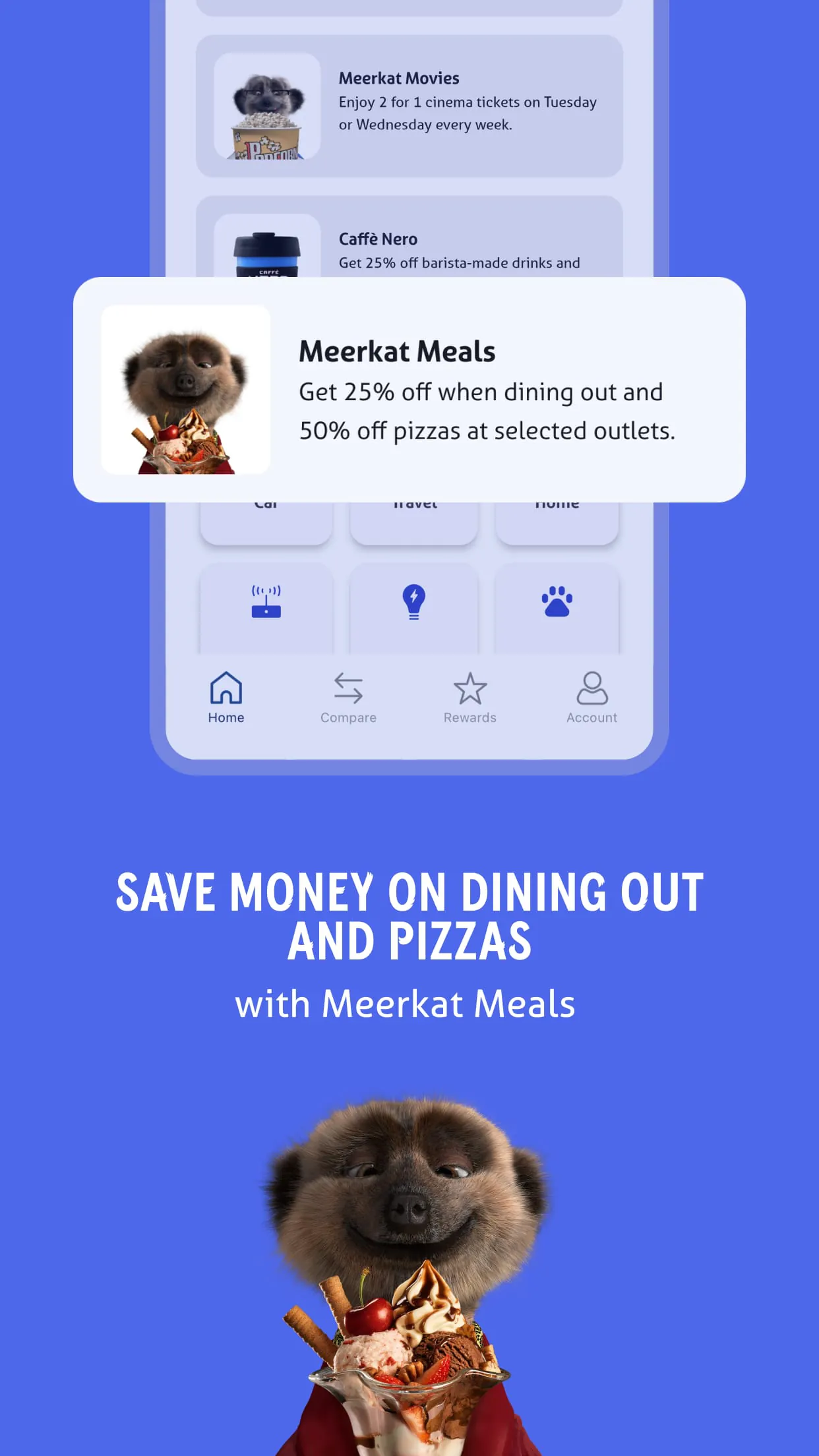 Meerkat