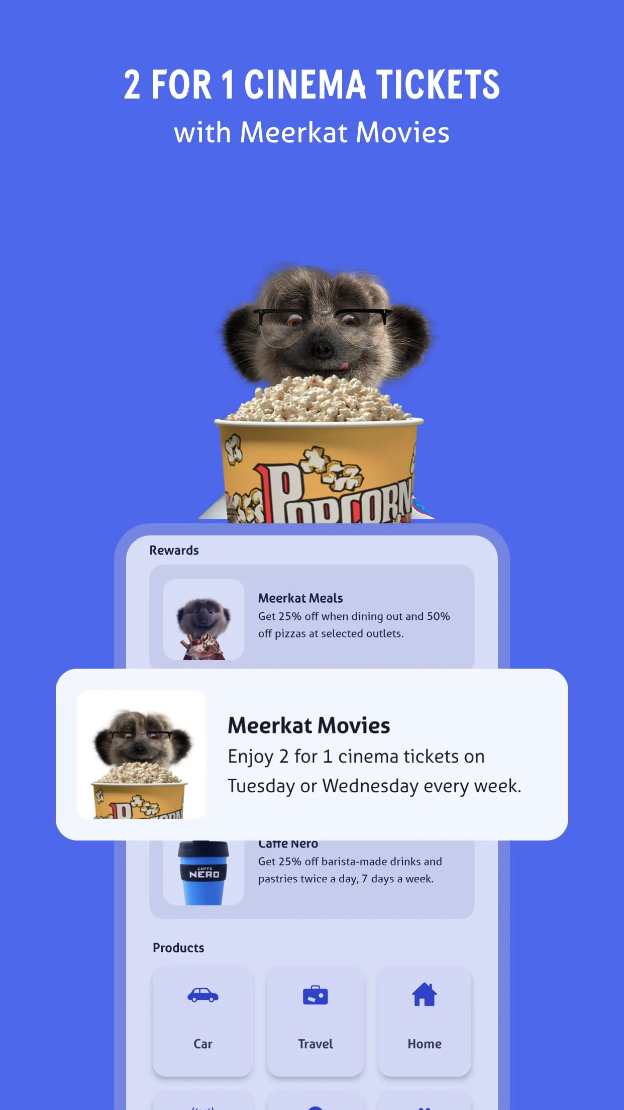 Meerkat