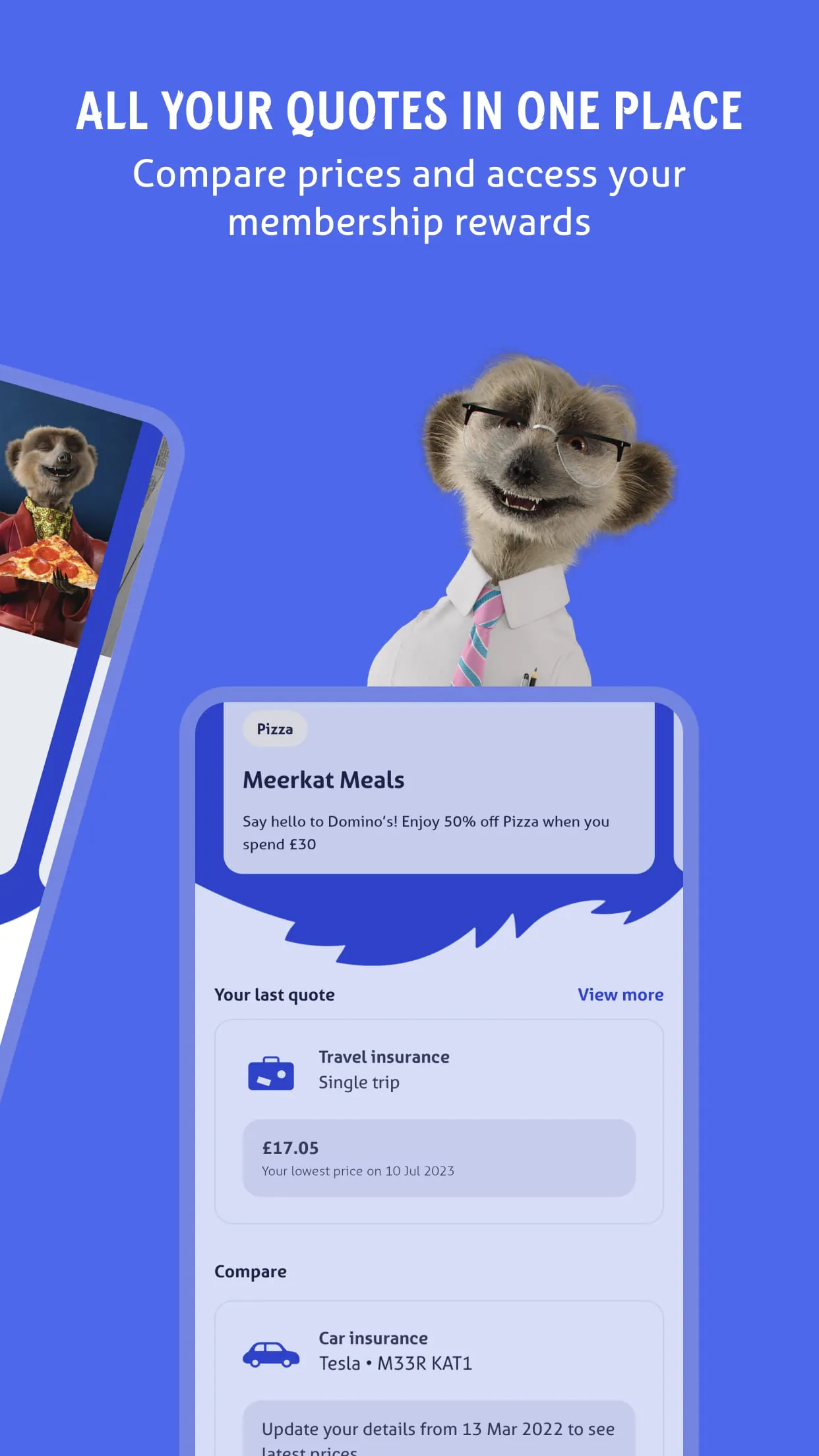 Meerkat
