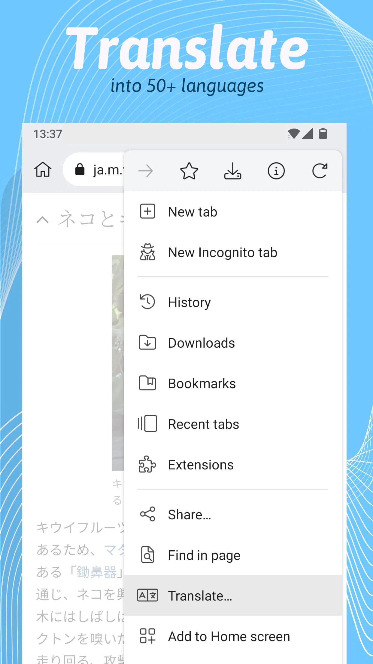 Kiwi Browser - Fast & Quiet