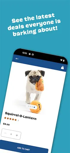 BARK - BarkBox