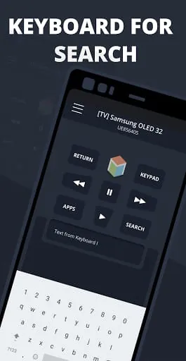 Remote Control for Samsung TV