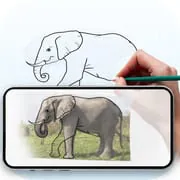 Draw : Trace & Sketch