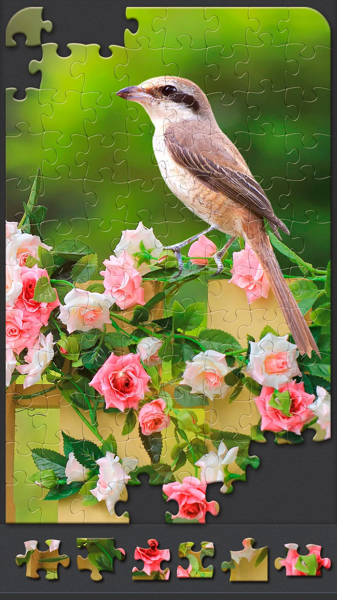 Jigsaw Puzzles for Adults