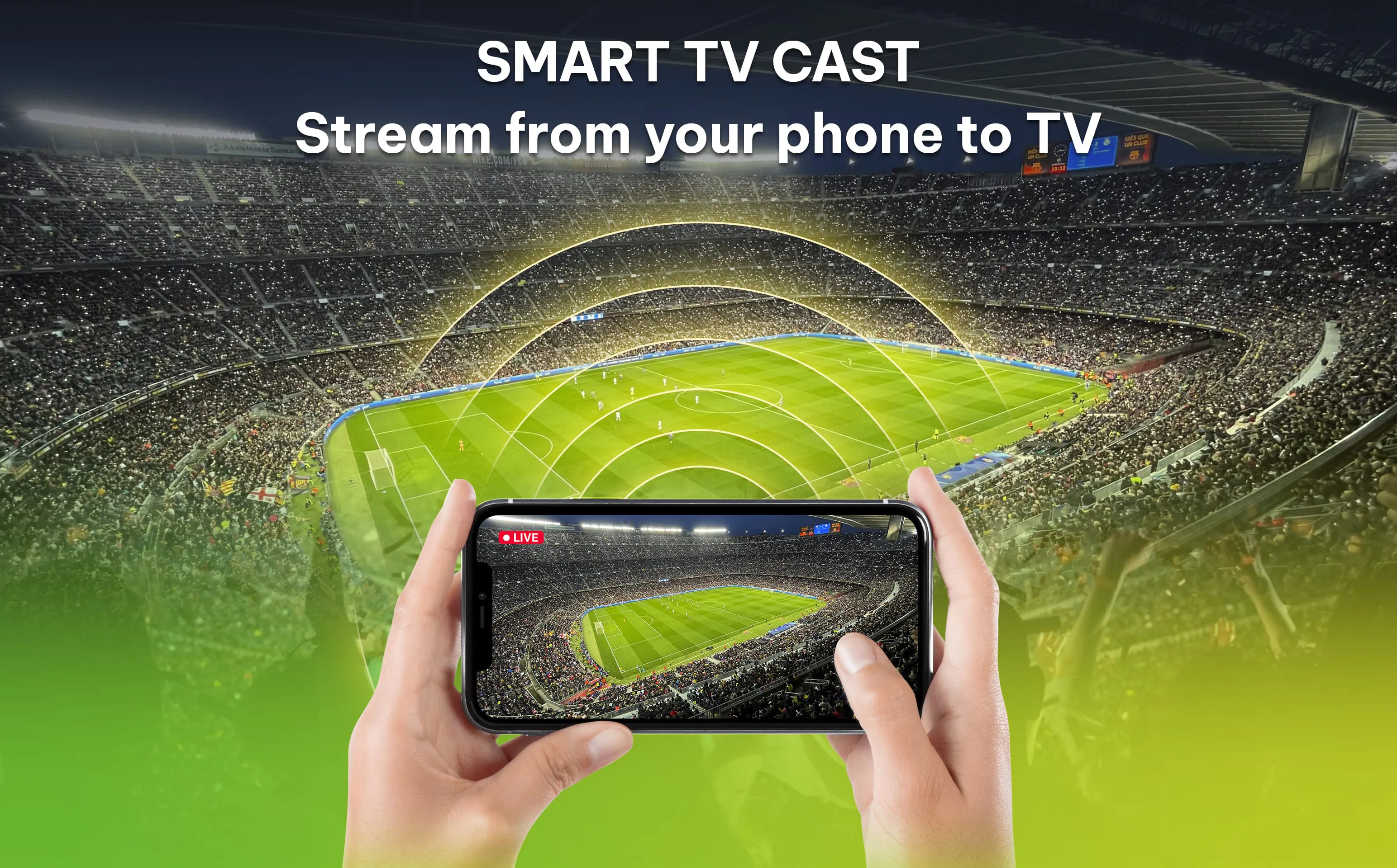 Connect the phone to TV