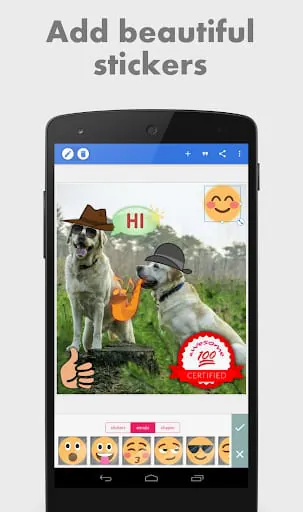 PixelLab - Text on pictures