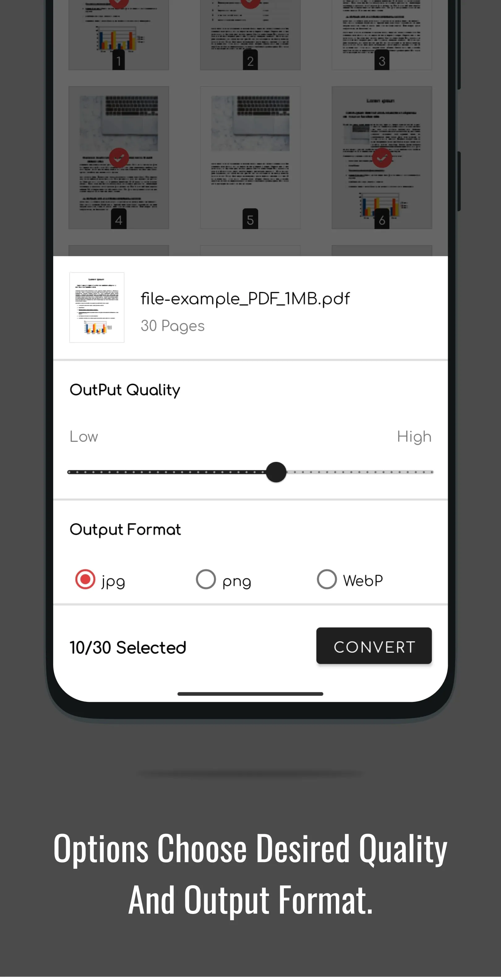 PDF to JPG Converter