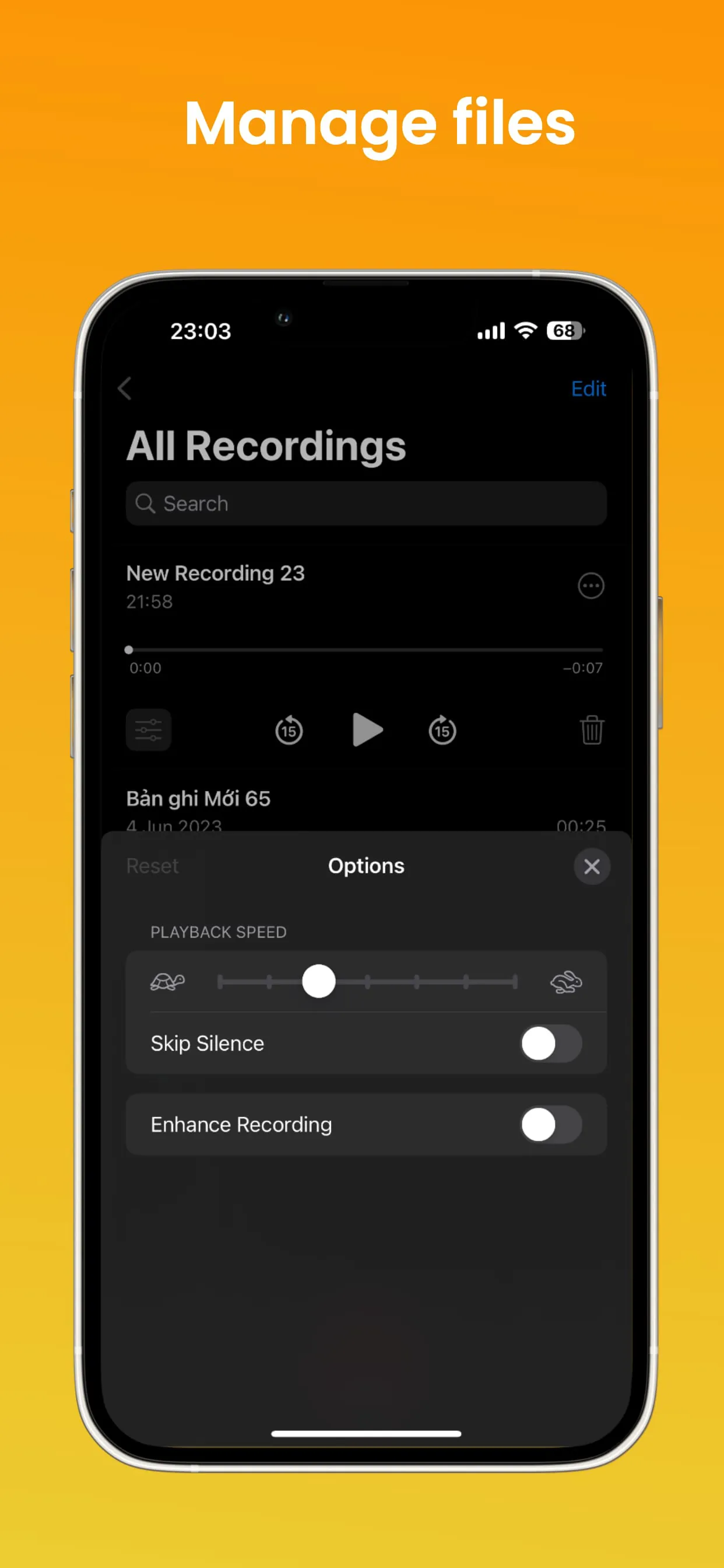 iVoice - OS 17 Voice Memos