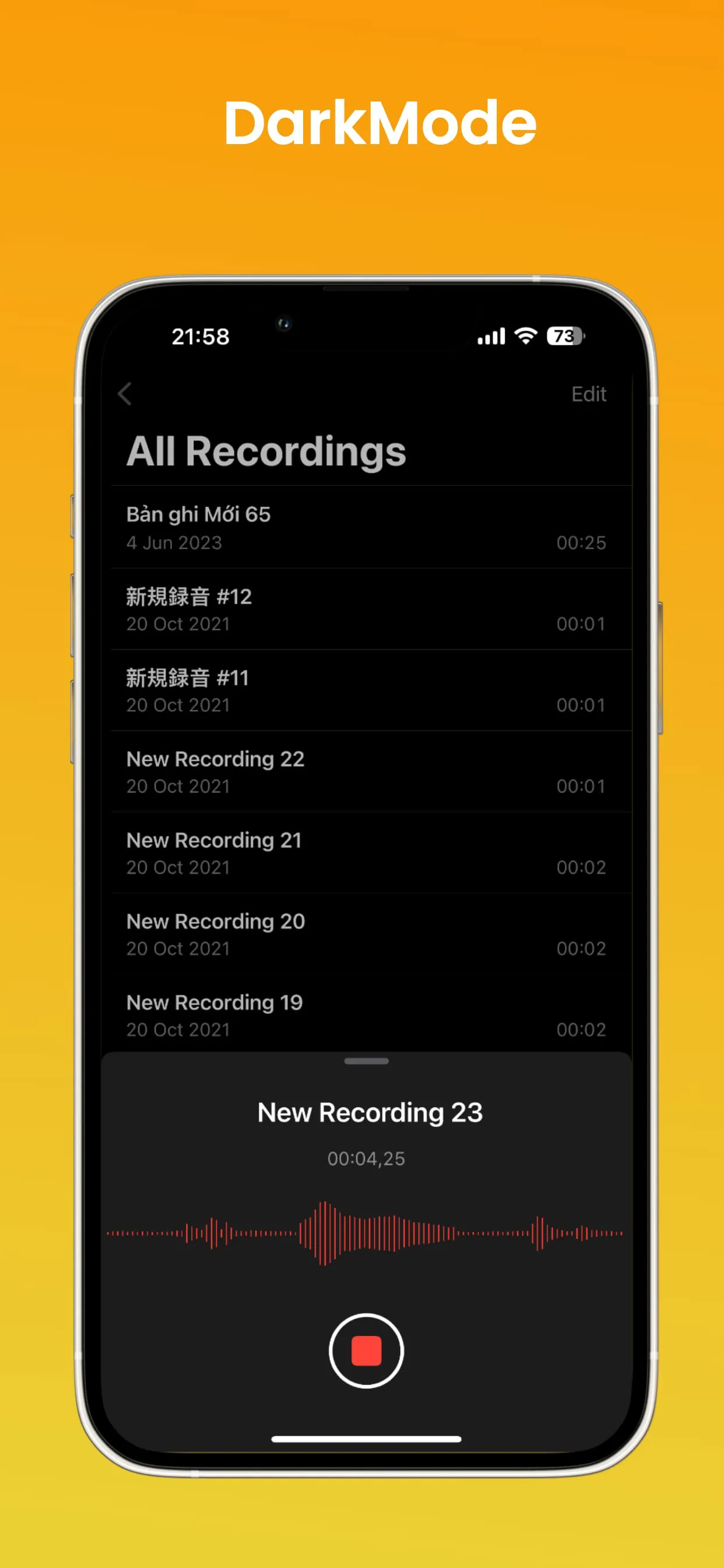 iVoice - OS 17 Voice Memos