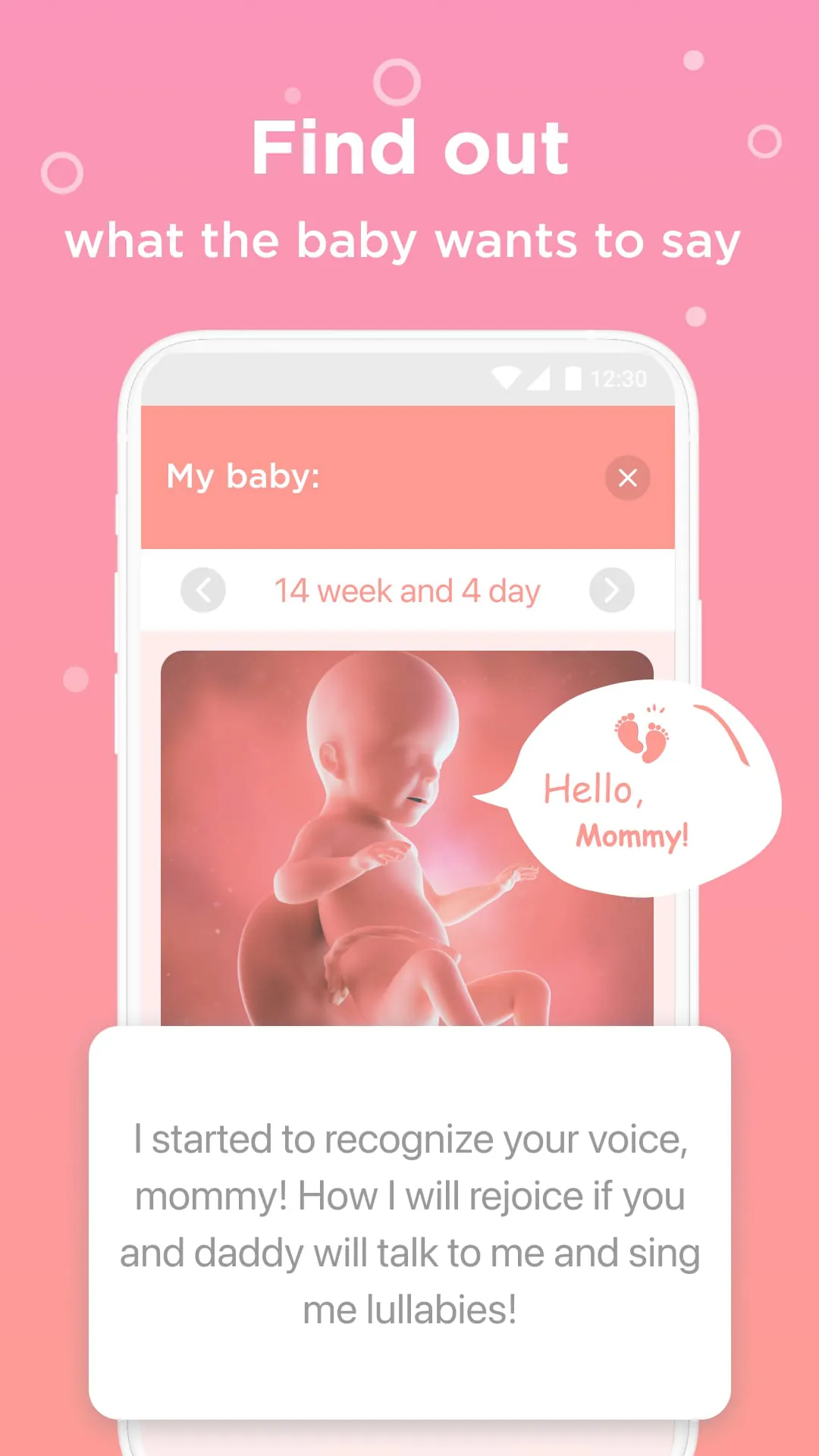 Pregnancy Tracker Week By Week