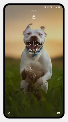 Pitbull Dog Wallpaper