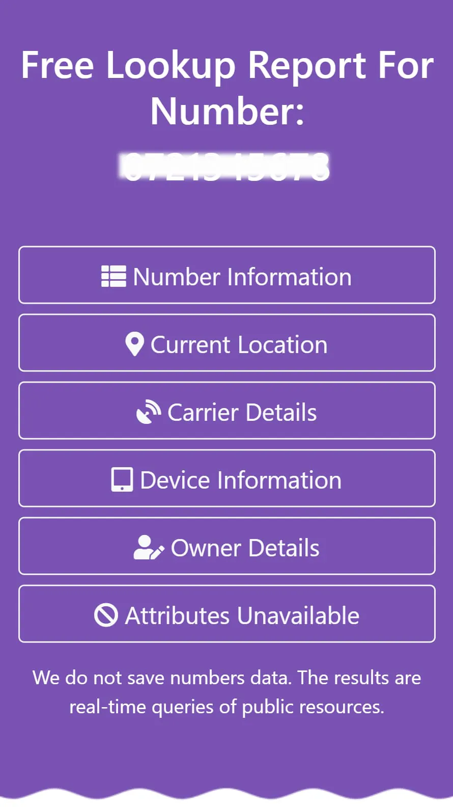 Phone Number Lookup