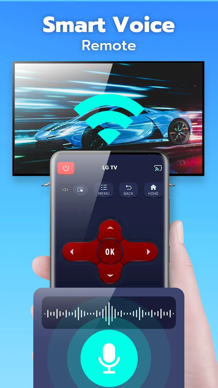 Universal TV Remote Control