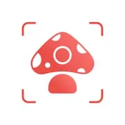Picture Mushroom - Mushroom ID